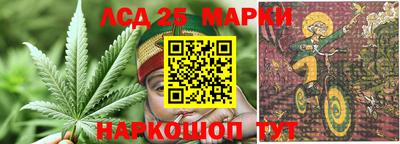 эйфоретик Ярославль