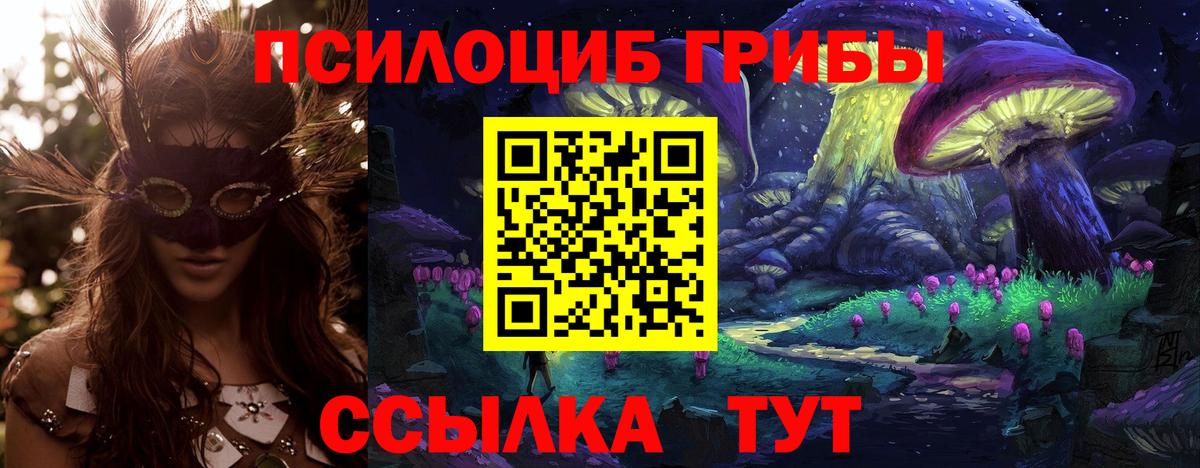 Галлюциногенные грибы Psilocybe Апрелевка