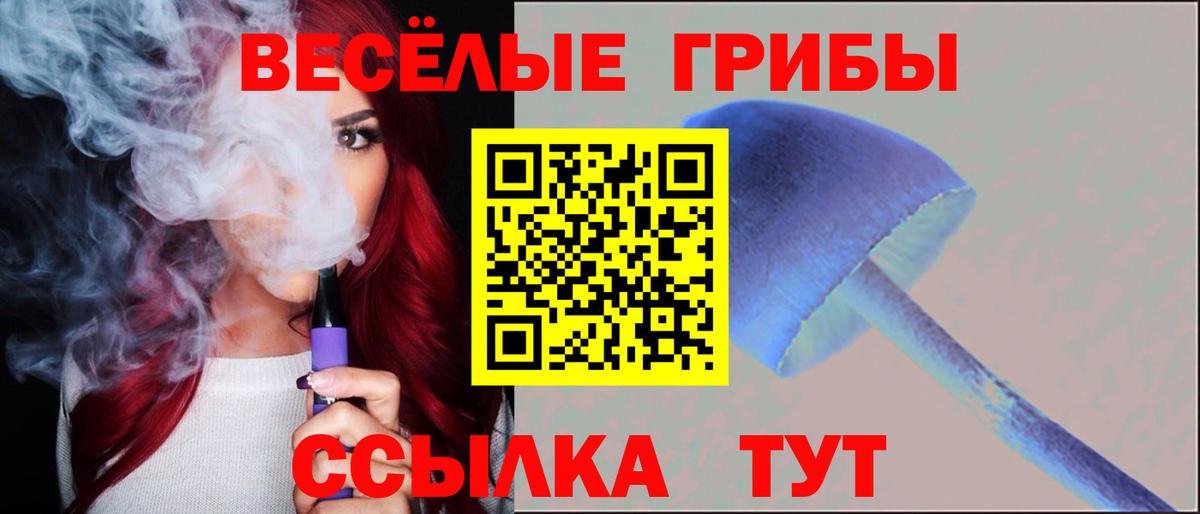 Галлюциногенные грибы Cubensis  Вход с VPN  Псилоцибиновые грибы Cubensis  Апрелевка 